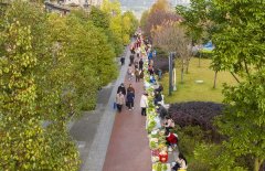 南川区已设置的摊区31处